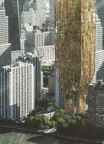 Первое место на конкурсе небоскребов будущего заняла башня из живых деревьев