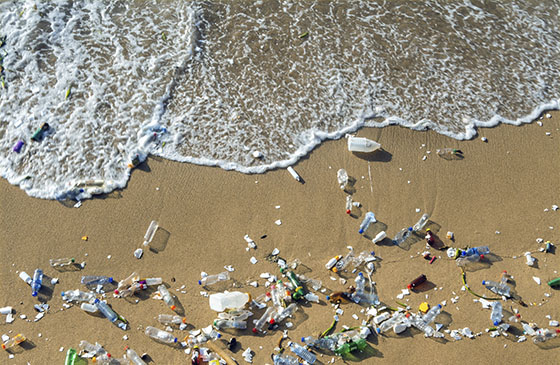 Экокатастрофа на Шри-Ланке: пляжи завалены токсичным пластиком