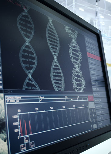 ВОЗ опубликовала рекомендации по редактированию человеческой ДНК