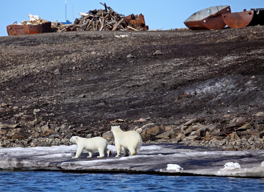 В 2022 году с метеостанций Арктики вывезут накопленный мусор